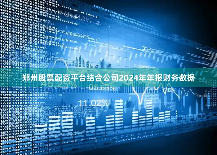 郑州股票配资平台结合公司2024年年报财务数据