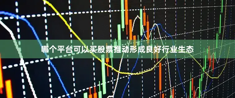哪个平台可以买股票推动形成良好行业生态
