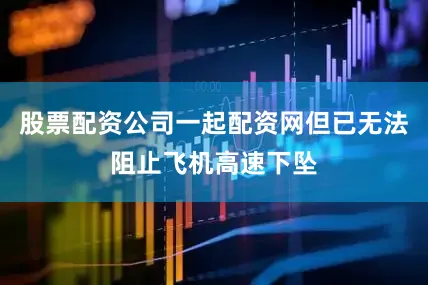 股票配资公司一起配资网但已无法阻止飞机高速下坠