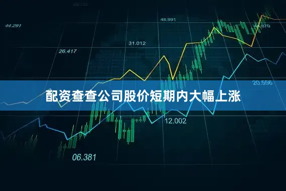 配资查查公司股价短期内大幅上涨