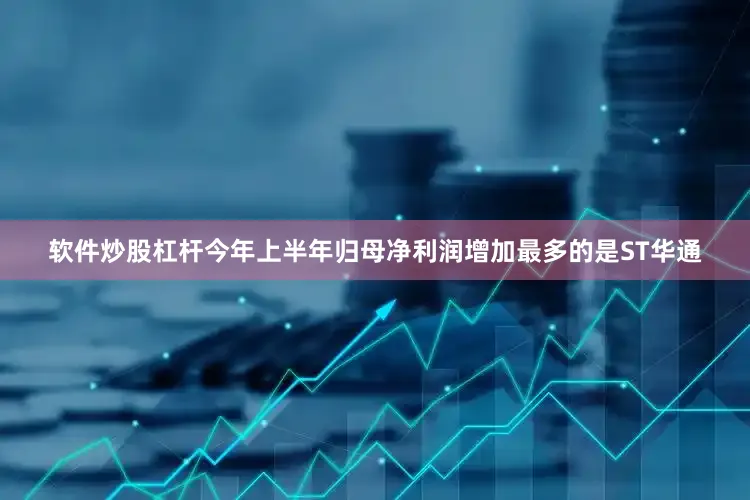软件炒股杠杆今年上半年归母净利润增加最多的是ST华通