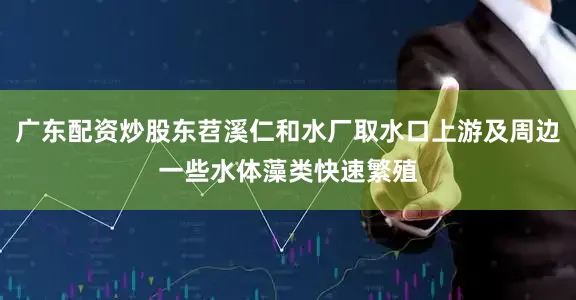 广东配资炒股东苕溪仁和水厂取水口上游及周边一些水体藻类快速繁殖