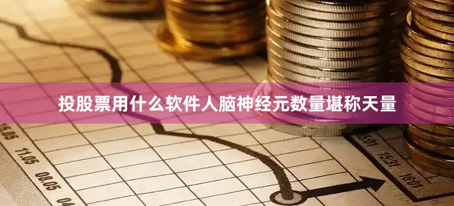 投股票用什么软件人脑神经元数量堪称天量